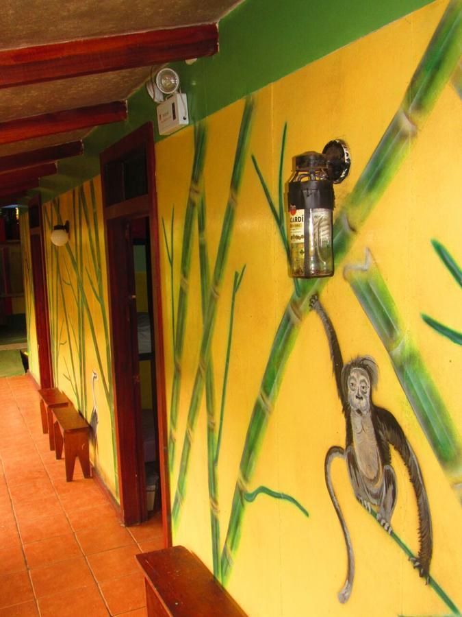Hakuna Matata Hostel 卡维塔 外观 照片