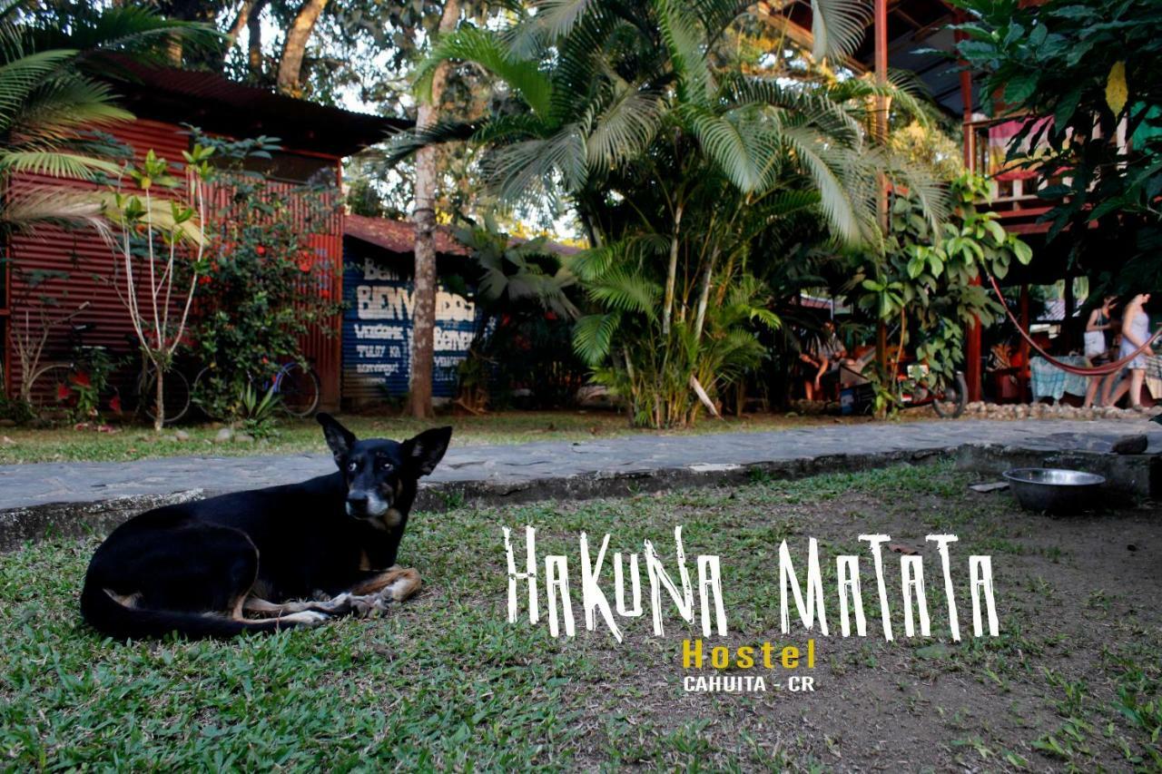 Hakuna Matata Hostel 卡维塔 外观 照片