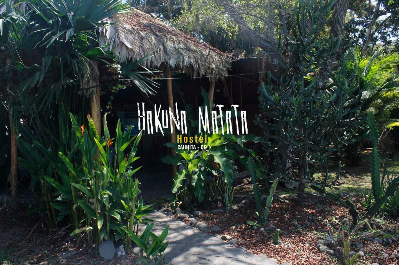 Hakuna Matata Hostel 卡维塔 外观 照片