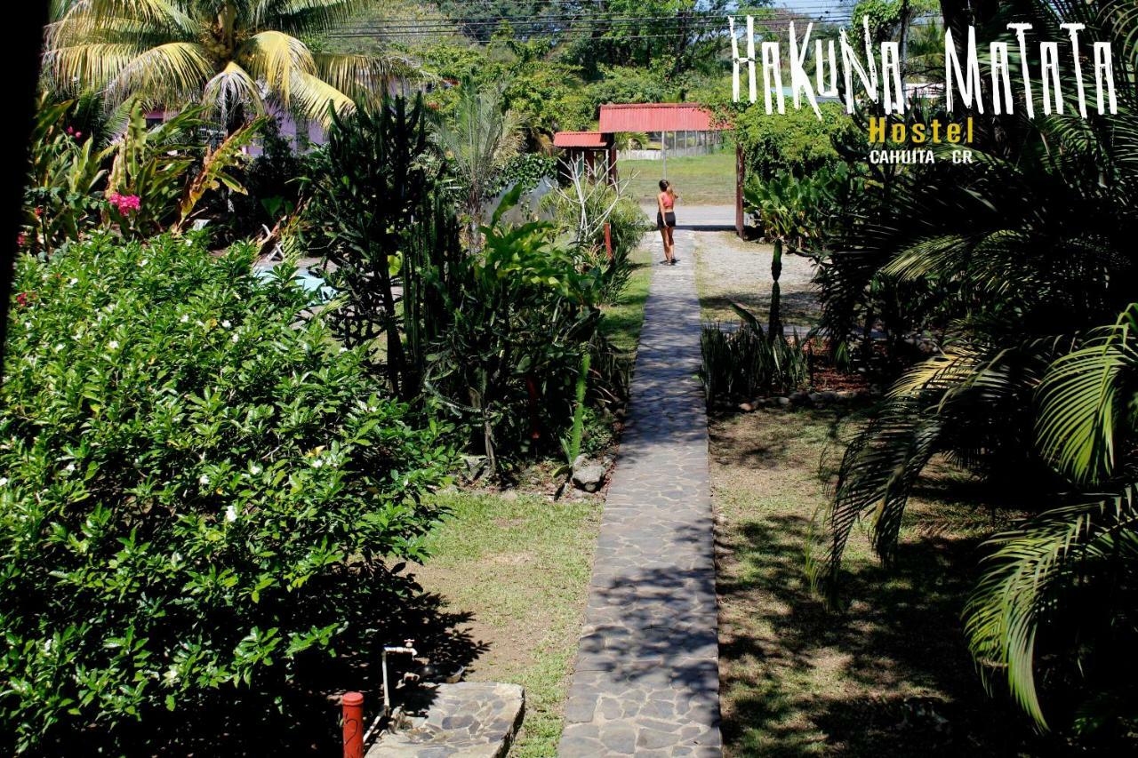 Hakuna Matata Hostel 卡维塔 外观 照片