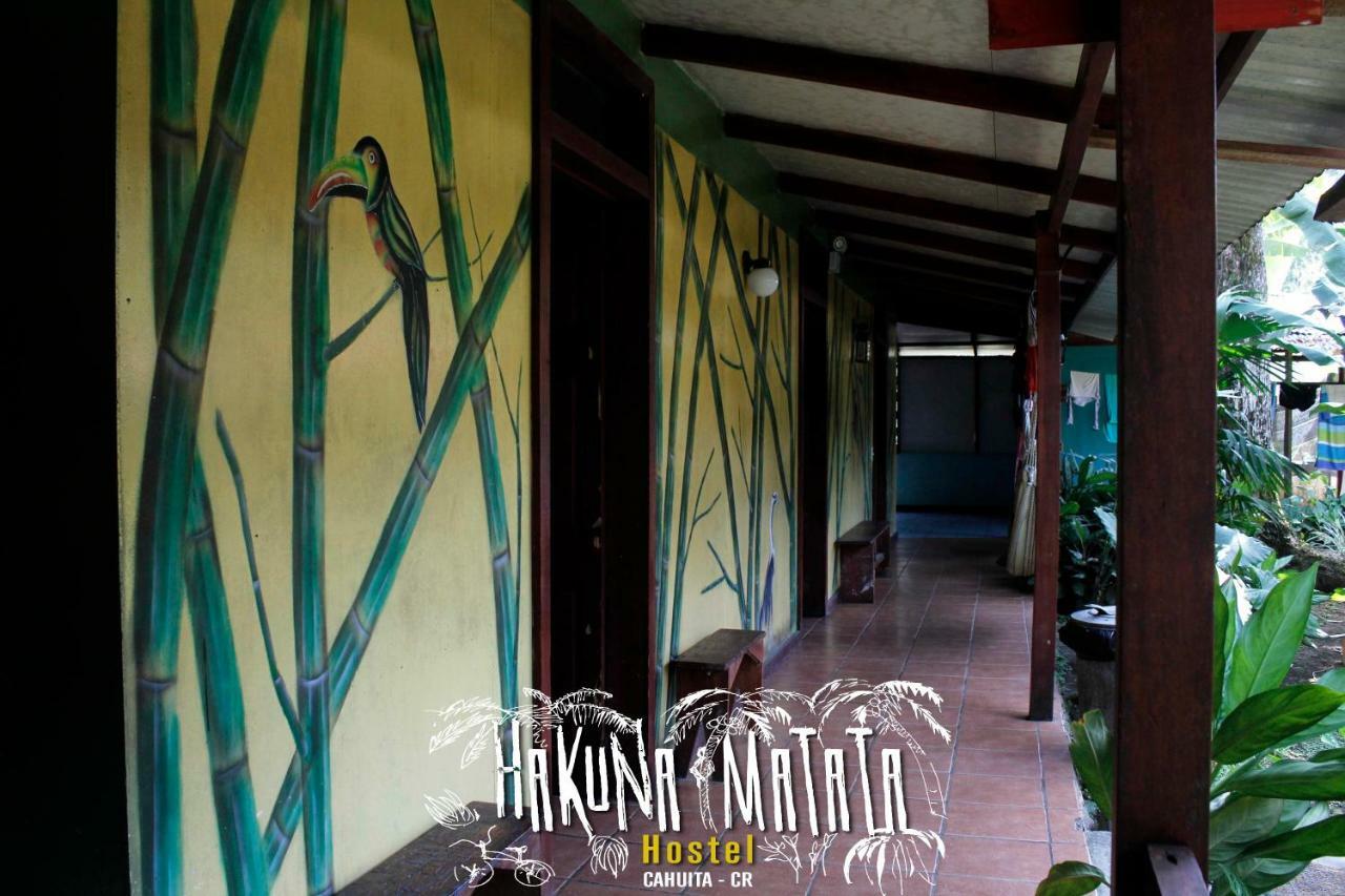 Hakuna Matata Hostel 卡维塔 外观 照片