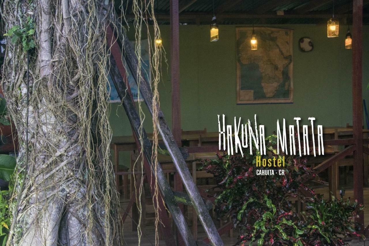 Hakuna Matata Hostel 卡维塔 外观 照片